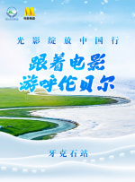 又黄又爽又色视频